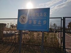 -鹦鹉洲湿地公园