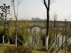 -瑶湖郊野森林公园