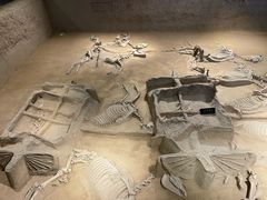 -洛阳周王城天子驾六博物馆