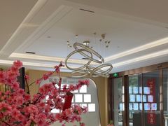 -合肥美奥口腔·种植矫正中心(政务院)