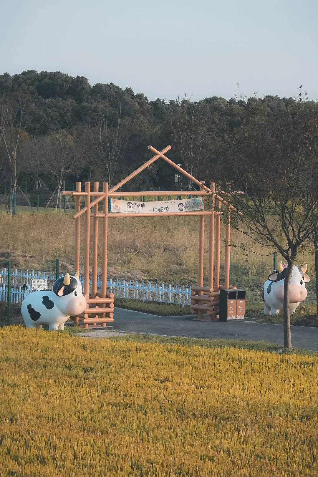 花花牛牧场基地图片