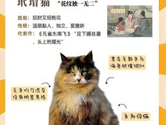 -Bastet sally猫舍购宠(静安店)