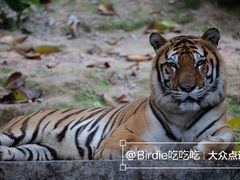 -广州长隆野生动物世界