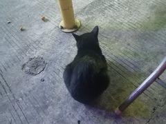 -潮香兴煲仔饭(莲花路店)