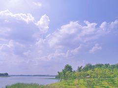 -丁香湖公园