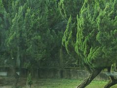 -上海野生动物园