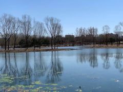 -大兴滨河森林公园