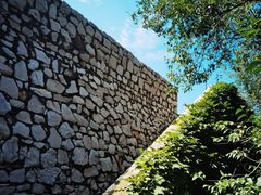 -原山国家森林公园