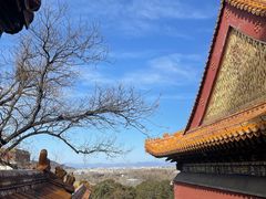 -颐和园