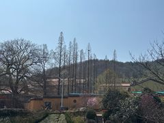 -冶父山国家森林公园