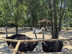 -大连森林动物园