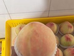 -老袁家蜜桃农场·阳山水蜜桃