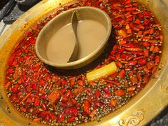 牛蛙火锅-哥老官重庆美蛙鱼头(五角场合生汇店)