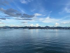 -宝安西湾红树林湿地公园