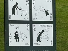 -奈良公园