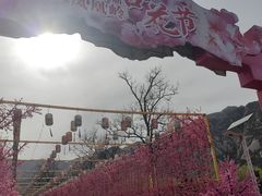 -北京凤凰岭
