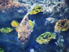-福州罗源湾海洋世界旅游区