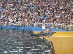 -秦皇岛乐岛海洋王国