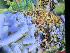 -菌之家·专业纯野生菌火锅·特色炒菌