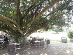 -侯臣咖啡文化村