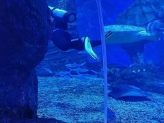 -多彩贵州城极地海洋世界