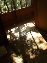 -WAVE SODA摄影工作室