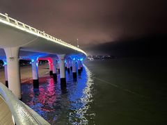 -演武大桥观景平台