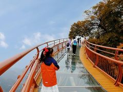-少华山国家森林公园