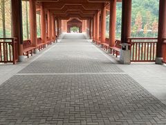 -重庆彩云湖湿地公园