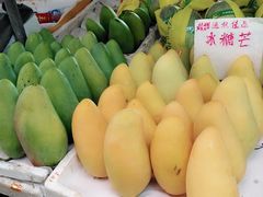 -大湾区中央湿地公园-十九涌
