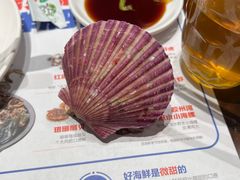 -大锅强·蒸海鲜青岛菜(吾悦广场店)