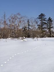 -大秃顶子山