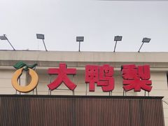 -大鸭梨烤鸭(左家庄店)