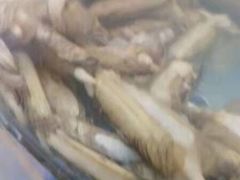 -晓伟海鲜家常菜