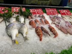 -骏莱海鲜鱼港(五角场店)