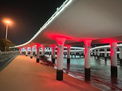 -演武大桥观景平台