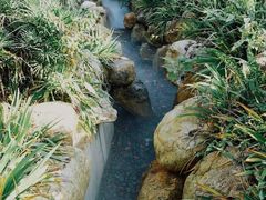 -剑河仰阿莎温泉小镇