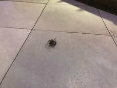 -鑫海汇自助烧烤(凯德广场学府店)