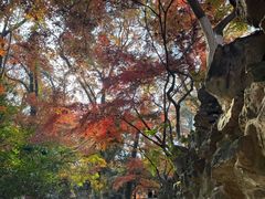 -虞山风景区