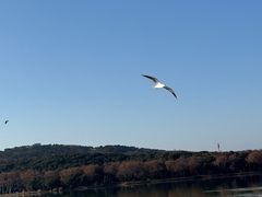 -水上明月·湖景餐厅