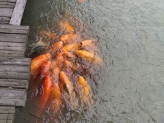 -乌村