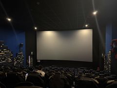 -AMG海上明珠影城(上海环球港RealDCinema店)