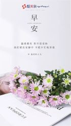 -靓芙泉专研痘痘肌