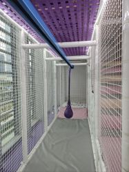 -奈尔宝·儿童乐园·亲子餐厅(华采天地店)