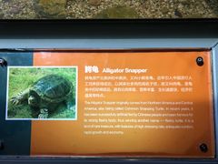 -台州海洋世界