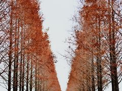 -锦溪古镇
