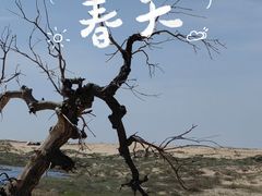 -库伦旗银沙湾旅游景区