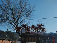 -老村长农家院