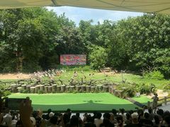 -广州长隆野生动物世界