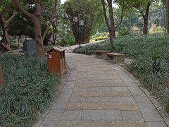 -成都市活水公园